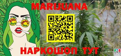 Альфа ПВП Обь