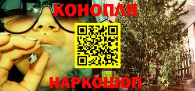Альфа ПВП Обь