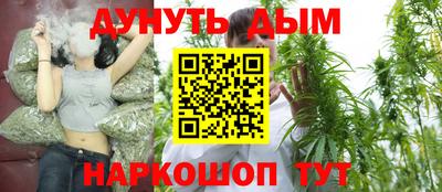 Альфа ПВП Обь
